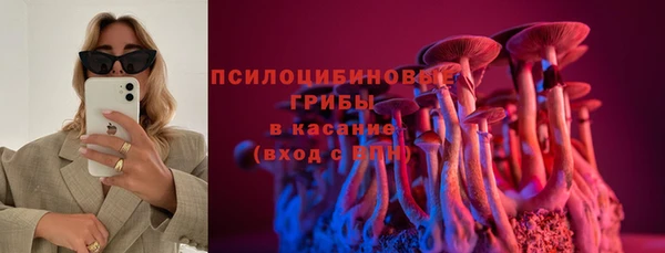 ГАЛЛЮЦИНОГЕННЫЕ ГРИБЫ Балахна