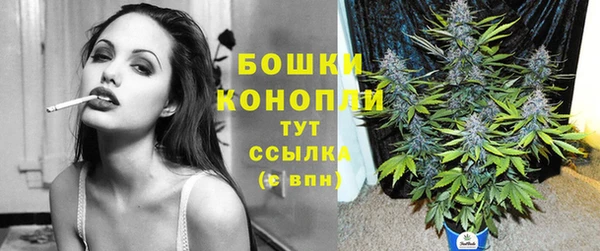 ГАЛЛЮЦИНОГЕННЫЕ ГРИБЫ Балахна