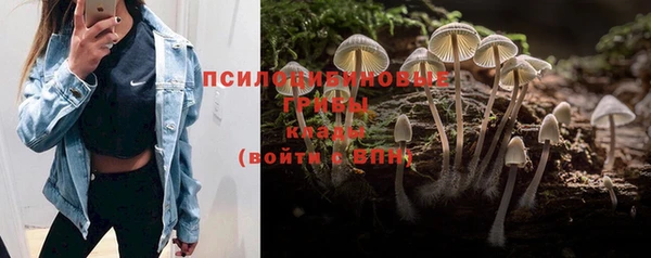 соль курить ск Баксан